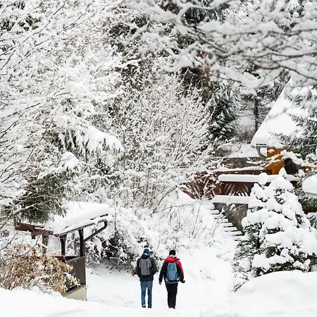 Skibike, Hrabovo Daire *