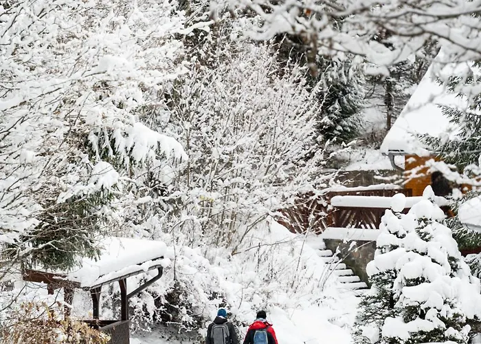 Skibike, Hrabovo 公寓 *