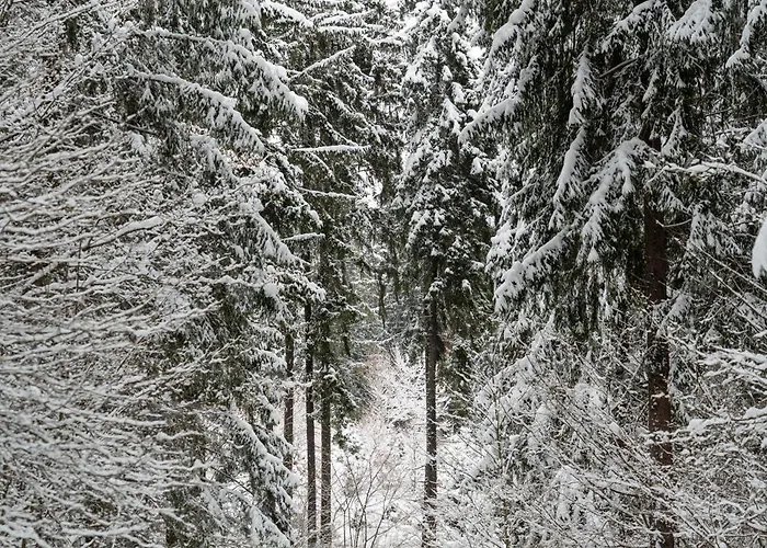 Skibike, Hrabovo Lejlighed